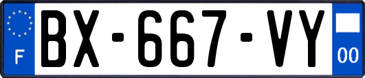 BX-667-VY