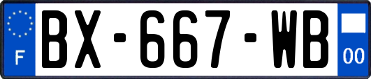 BX-667-WB