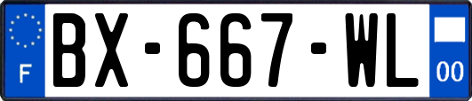 BX-667-WL