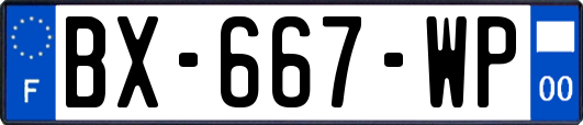 BX-667-WP