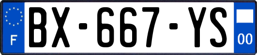 BX-667-YS