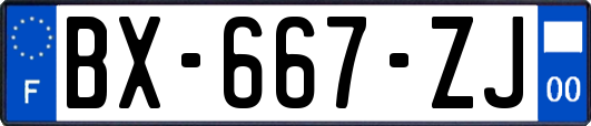 BX-667-ZJ