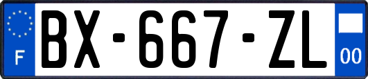 BX-667-ZL