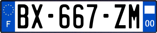 BX-667-ZM