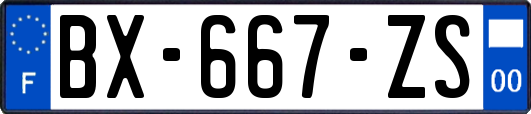 BX-667-ZS
