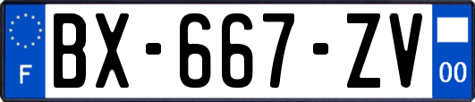 BX-667-ZV