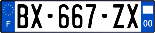 BX-667-ZX
