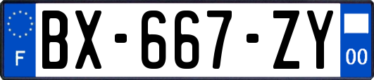 BX-667-ZY