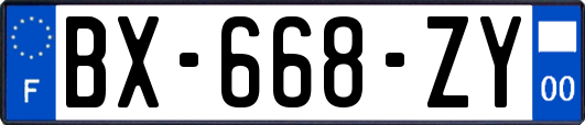 BX-668-ZY