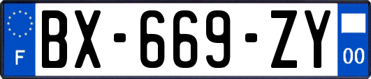 BX-669-ZY
