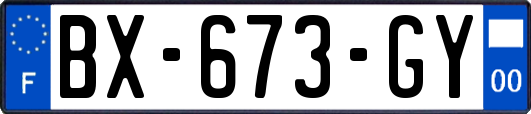 BX-673-GY