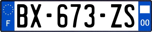 BX-673-ZS
