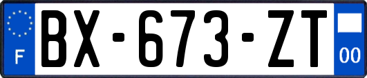 BX-673-ZT