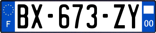 BX-673-ZY