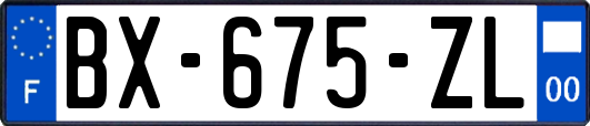 BX-675-ZL