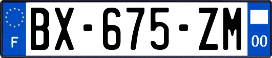 BX-675-ZM