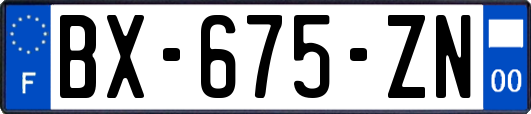 BX-675-ZN