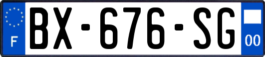 BX-676-SG