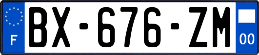 BX-676-ZM