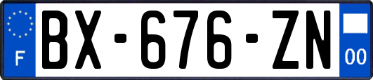 BX-676-ZN