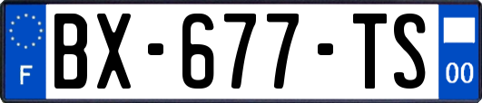 BX-677-TS