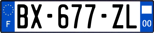 BX-677-ZL