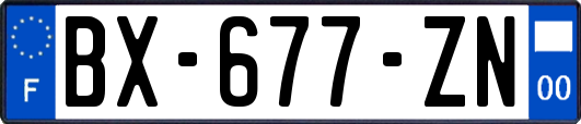 BX-677-ZN