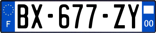 BX-677-ZY