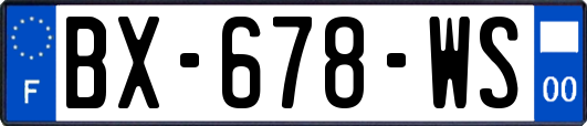 BX-678-WS