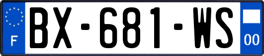 BX-681-WS