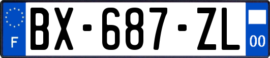 BX-687-ZL