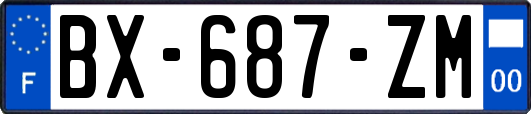 BX-687-ZM