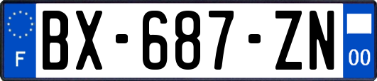 BX-687-ZN