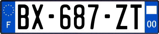 BX-687-ZT