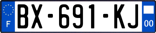 BX-691-KJ