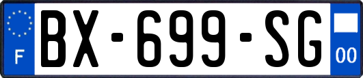 BX-699-SG