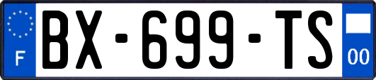 BX-699-TS