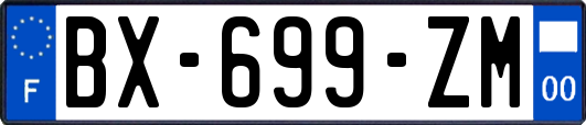 BX-699-ZM