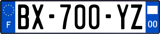 BX-700-YZ