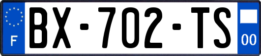 BX-702-TS