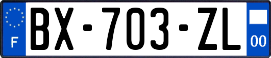 BX-703-ZL