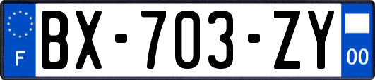 BX-703-ZY