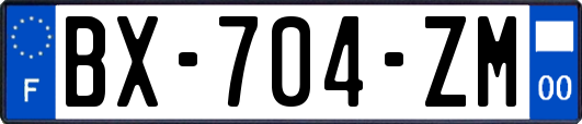 BX-704-ZM