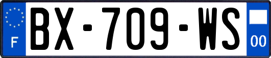 BX-709-WS