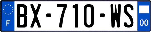 BX-710-WS