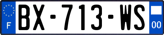 BX-713-WS