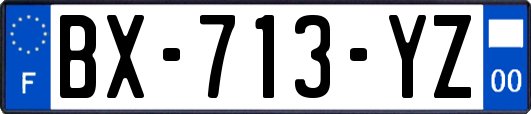 BX-713-YZ