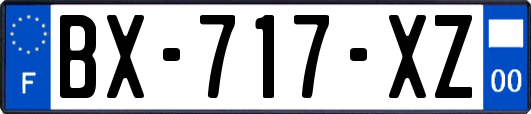 BX-717-XZ