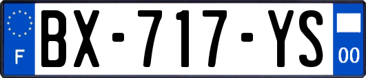 BX-717-YS