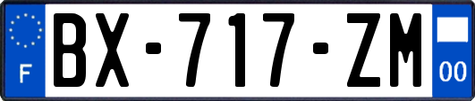 BX-717-ZM